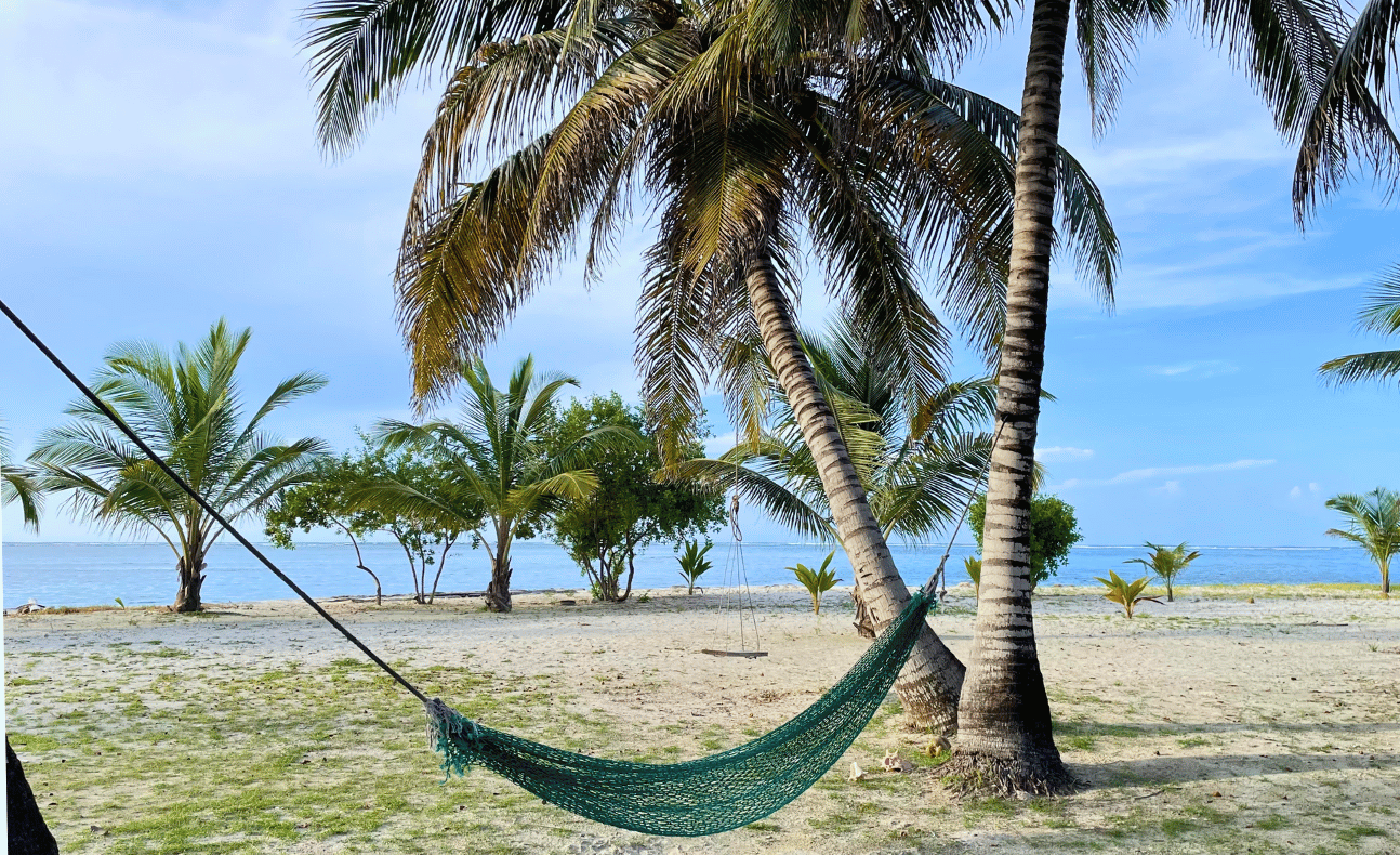 Relaxing beach view of hammock hanging between coconut trees on the beach of Chichime Island in the San Blas Islands, Panama – a paradise destination to book on a San Blas Tour from Panama City.