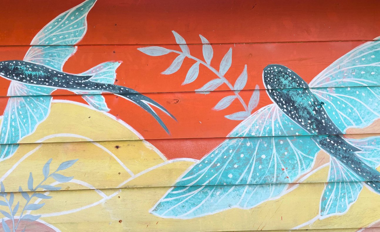 A colorful mural painted on a wooden hut on ChiChime Islands, San BLas- a rustically charming accommodation available on San Blas Tours from Panama City